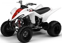 Спортивный квадроцикл Yamaha Raptor 350 R